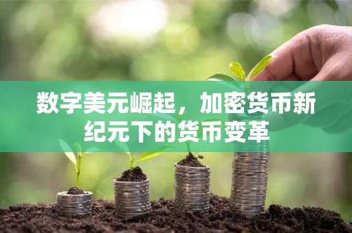 数字美元崛起，加密货币新纪元下的货币变革