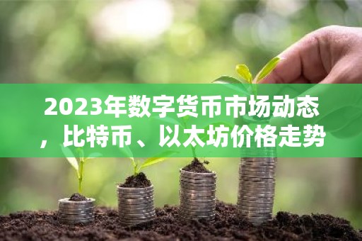 2023年数字货币市场动态，比特币、以太坊价格走势及政策影响