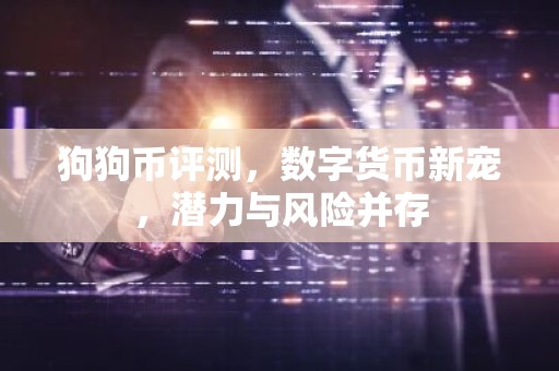 狗狗币评测，数字货币新宠，潜力与风险并存