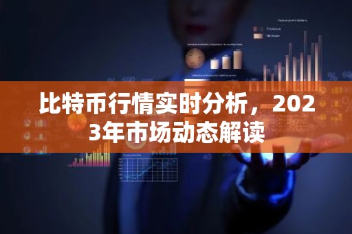 比特币行情实时分析，2023年市场动态解读