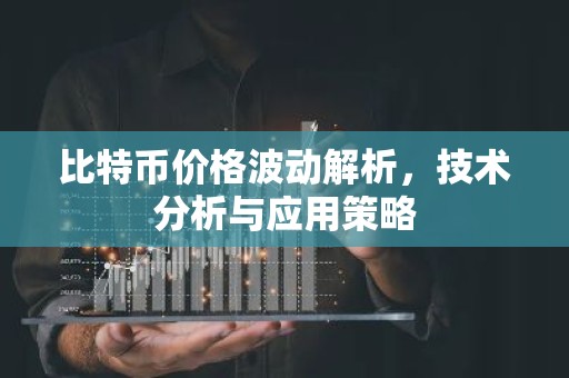 比特币价格波动解析，技术分析与应用策略