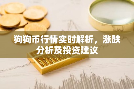 狗狗币行情实时解析，涨跌分析及投资建议