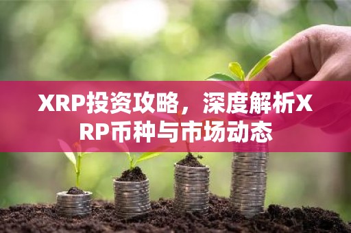 XRP投资攻略，深度解析XRP币种与市场动态