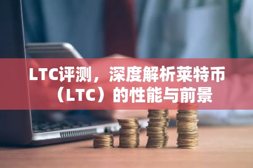 LTC评测，深度解析莱特币（LTC）的性能与前景