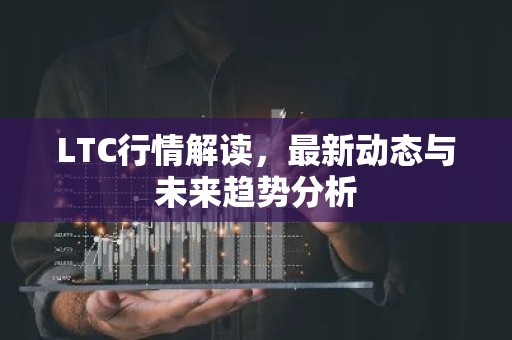 LTC行情解读，最新动态与未来趋势分析