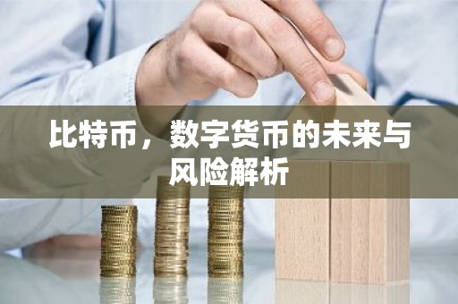 比特币，数字货币的未来与风险解析