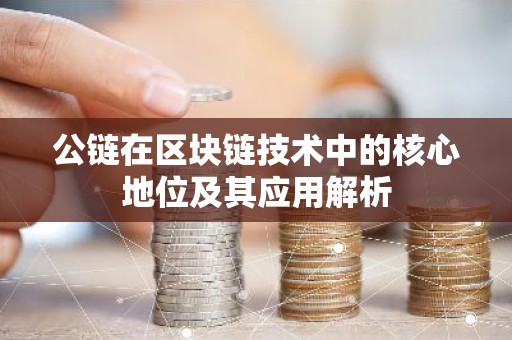 公链在区块链技术中的核心地位及其应用解析