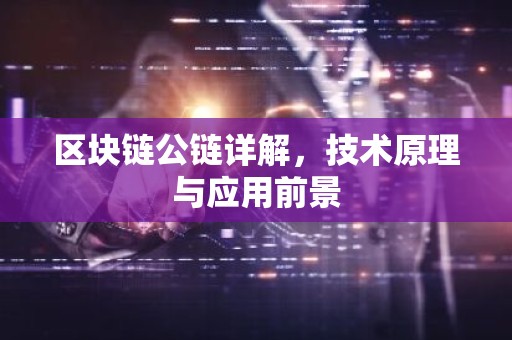 区块链公链详解，技术原理与应用前景