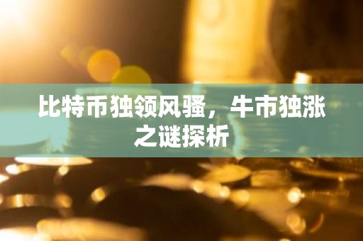 比特币独领风骚，牛市独涨之谜探析
