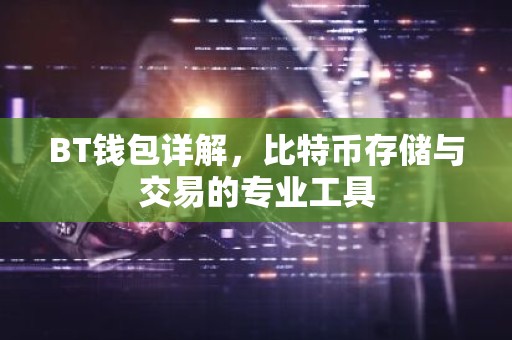 BT钱包详解，比特币存储与交易的专业工具