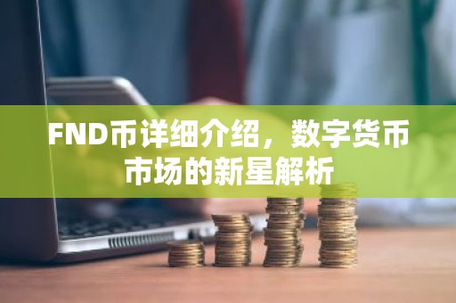 FND币详细介绍，数字货币市场的新星解析
