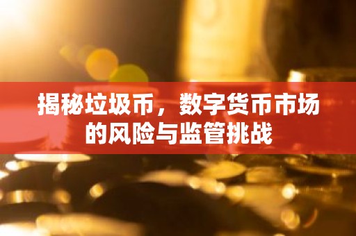 揭秘垃圾币，数字货币市场的风险与监管挑战