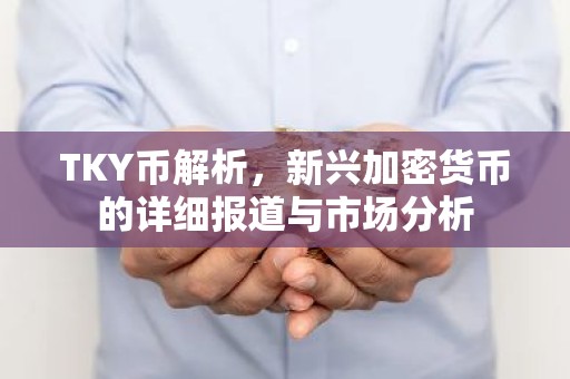 TKY币解析，新兴加密货币的详细报道与市场分析
