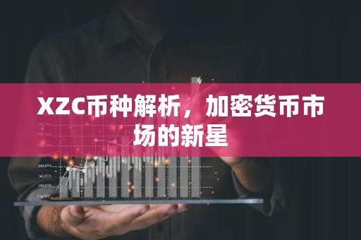 XZC币种解析，加密货币市场的新星
