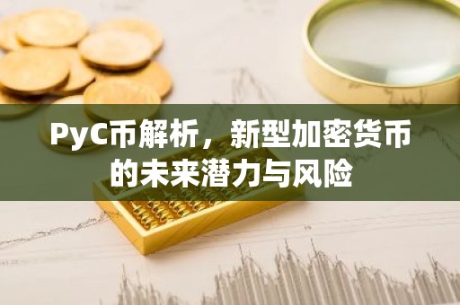 PyC币解析，新型加密货币的未来潜力与风险