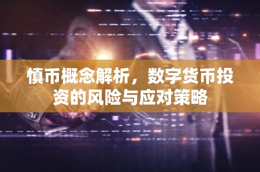 慎币概念解析，数字货币投资的风险与应对策略