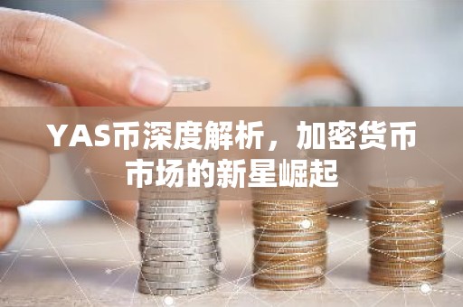 YAS币深度解析，加密货币市场的新星崛起