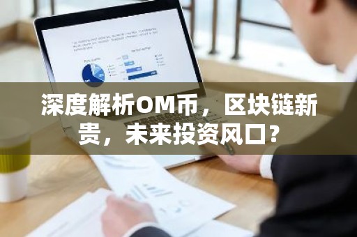 深度解析OM币，区块链新贵，未来投资风口？