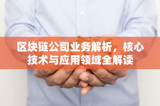 区块链公司业务解析，核心技术与应用领域全解读