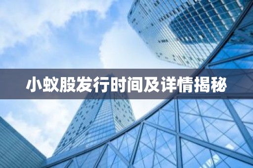 小蚁股发行时间及详情揭秘