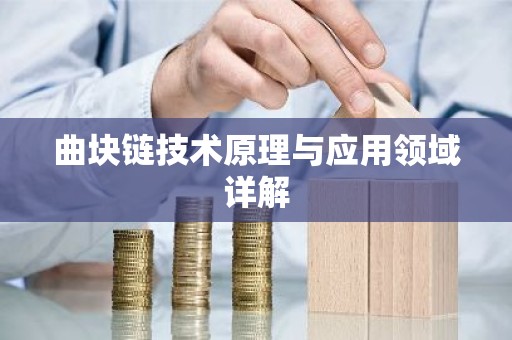 曲块链技术原理与应用领域详解