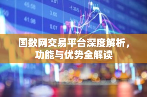 国数网交易平台深度解析，功能与优势全解读