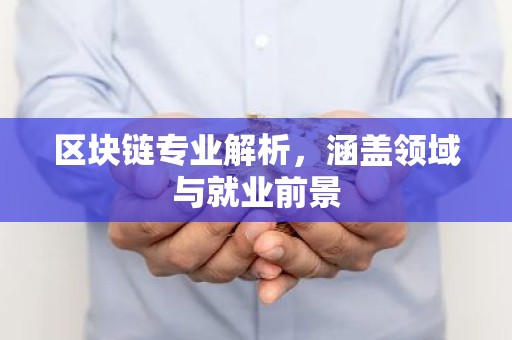 区块链专业解析，涵盖领域与就业前景