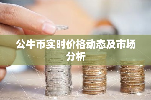公牛币实时价格动态及市场分析