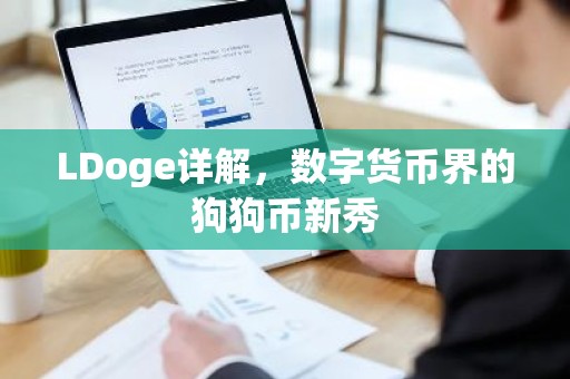 LDoge详解，数字货币界的狗狗币新秀