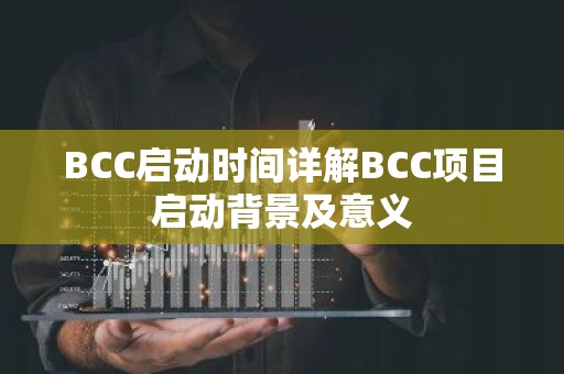 BCC启动时间详解BCC项目启动背景及意义