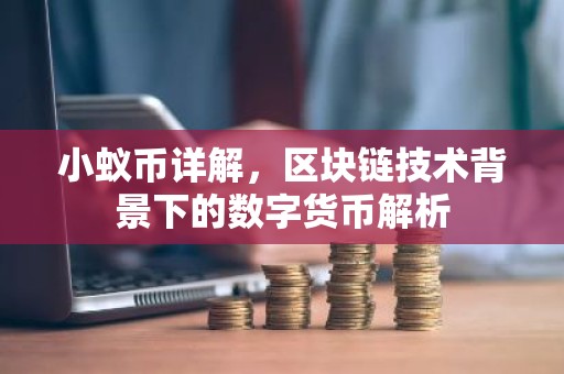小蚁币详解，区块链技术背景下的数字货币解析