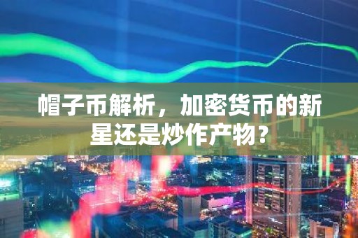 帽子币解析，加密货币的新星还是炒作产物？
