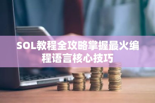 SOL教程全攻略掌握最火编程语言核心技巧
