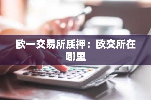 欧一交易所质押：欧交所在哪里
