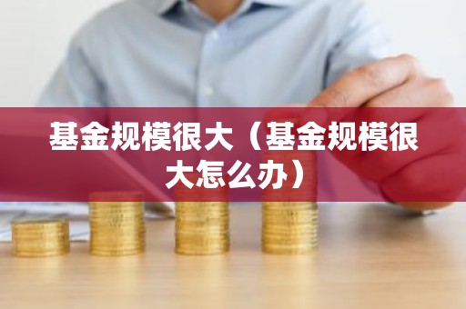 基金规模很大（基金规模很大怎么办）