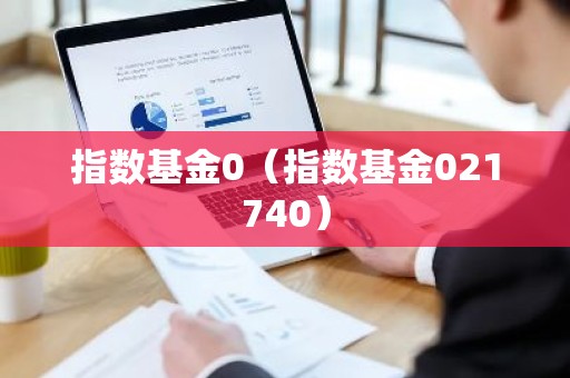 指数基金0（指数基金021740）