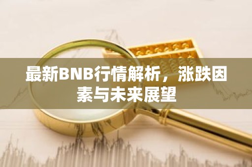 最新BNB行情解析，涨跌因素与未来展望