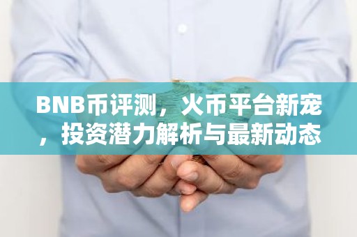 BNB币评测，火币平台新宠，投资潜力解析与最新动态