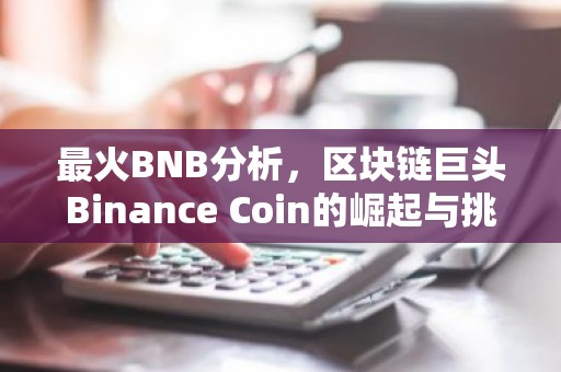 最火BNB分析，区块链巨头Binance Coin的崛起与挑战