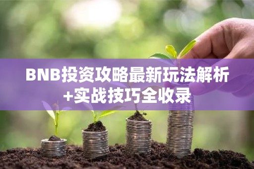 BNB投资攻略最新玩法解析+实战技巧全收录