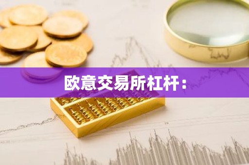 欧意交易所杠杆：