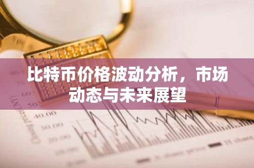 比特币价格波动分析，市场动态与未来展望
