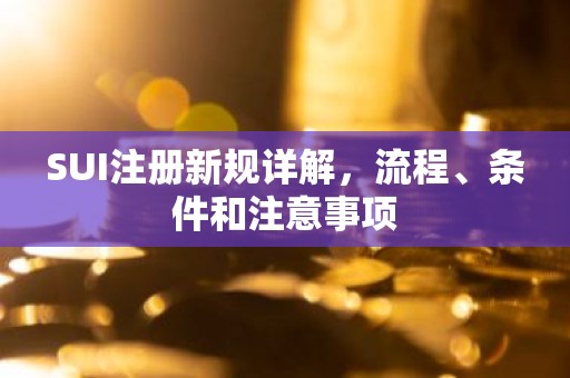 SUI注册新规详解，流程、条件和注意事项