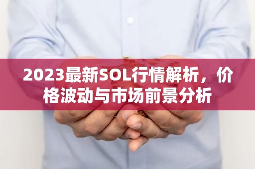 2023最新SOL行情解析，价格波动与市场前景分析