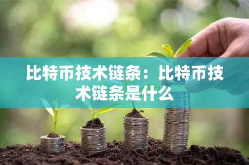 比特币技术链条：比特币技术链条是什么