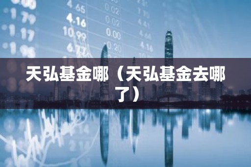 天弘基金哪（天弘基金去哪了）