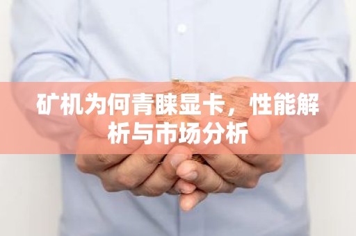矿机为何青睐显卡，性能解析与市场分析