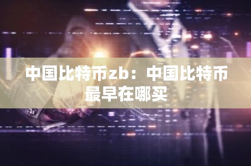 中国比特币zb：中国比特币最早在哪买