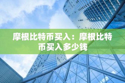 摩根比特币买入：摩根比特币买入多少钱