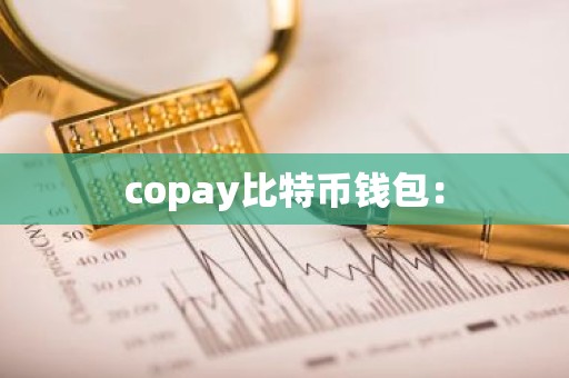 copay比特币钱包：